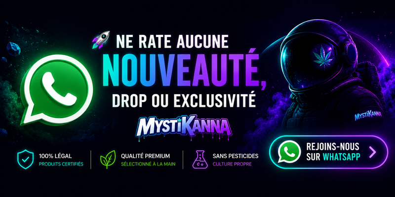 Rejoins Mystikanna sur WhatsApp