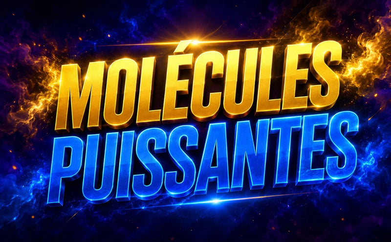 NOUVELLE GÉNÉRATION