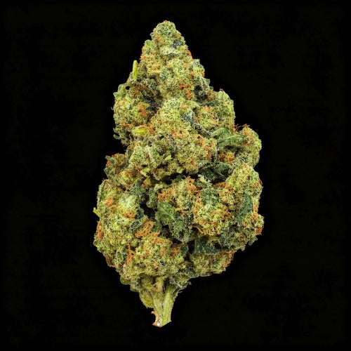 Amnesia Haze THCX 2.0 fleur CBD indoor-hydro Suisse premium - Mystikanna