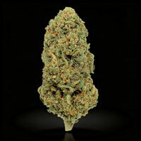 ORANGE BUD CBD — Fleur CBD Glass-House Agrumes